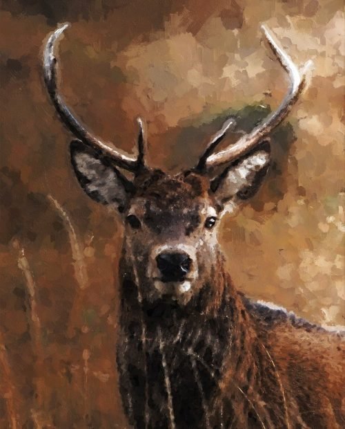 oil-painting-5257454_1280